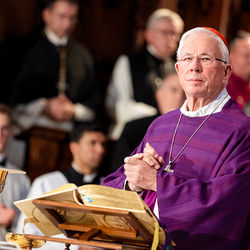 Stephansdom: Österreich nahm Abschied von Papst Franziskus / Erzdiözese Wien/ Schönlaub, Stephan Schönlaub Stephansdom: Österreich nahm Abschied von Papst Franziskus
