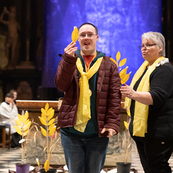WDST 2024 im Stephansdom / Erzdiözese Wien/Schönlaub