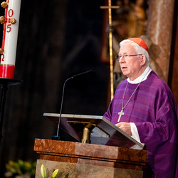 Stephansdom: Österreich nahm Abschied von Papst Franziskus / Erzdiözese Wien/ Schönlaub, Stephan Schönlaub Stephansdom: Österreich nahm Abschied von Papst Franziskus