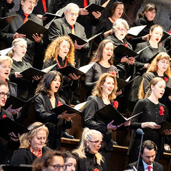 Te-Deum Papst Leo XIV / Erzdiözese Wien/Schönlaub, Stephan Schönlaub