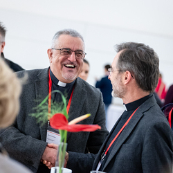 Treffen der Vikariatsräte