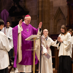WDST 2024 im Stephansdom / Erzdiözese Wien/Schönlaub