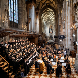 Stephansdom: Österreich nahm Abschied von Papst Franziskus / Erzdiözese Wien/ Schönlaub, Stephan Schönlaub Stephansdom: Österreich nahm Abschied von Papst Franziskus
