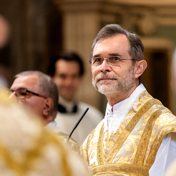 Allerheiligen Stephansdom / Erzdiözese Wien/Schönlaub, Stephan Schönlaub Allerheiligen Stephansdom