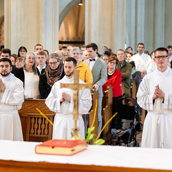 Erzdiözese Wien/Schönlaub, Stephan Schönlaub