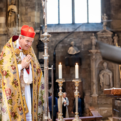Te-Deum Papst Leo XIV / Erzdiözese Wien/Schönlaub, Stephan Schönlaub