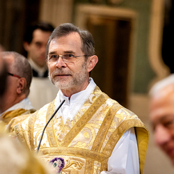 Allerheiligen Stephansdom / Erzdiözese Wien/Schönlaub, Stephan Schönlaub Allerheiligen Stephansdom