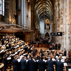 Allerheiligen Stephansdom / Erzdiözese Wien/Schönlaub, Stephan Schönlaub Allerheiligen Stephansdom