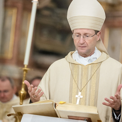 Admissio 2025 / Erzdiözese Wien/ Schönlaub, Stephan Schönlaub