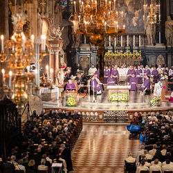 Stephansdom: Österreich nahm Abschied von Papst Franziskus / Erzdiözese Wien/ Schönlaub, Stephan Schönlaub Stephansdom: Österreich nahm Abschied von Papst Franziskus